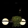 Подвесная люстра Loft IT Jardin 10121/2 10121/2 - 4