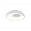 Потолочный светильник Indigo Cratere 14016/1С White V000152L V000152L - 1