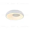 Потолочный светильник Indigo Cratere 14016/1С White V000152L V000152L - 4