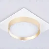 Встраиваемый светильник Ambrella Light Techno Spot GX53 Acrylic tech TN5230 TN5230 - 4