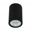 Уличный потолочный светильник Arte Lamp Torcular A1807PF-1BK A1807PF-1BK - 1