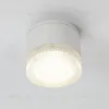 Уличный потолочный светильник Arte Lamp Piautos A1926PF-1WH A1926PF-1WH - 2