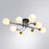 Потолочная люстра Arte Lamp Andrea A8141PL-8BK A8141PL-8BK - 3