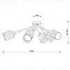 Потолочная люстра Arte Lamp Maria A4536PL-6AB A4536PL-6AB - 4