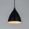 Подвесной светильник Arte Lamp Lark A7075SP-1BK A7075SP-1BK - 2