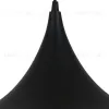 Подвесной светильник Arte Lamp Carmel A7080SP-1BK A7080SP-1BK - 3