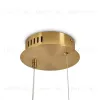 Подвесной светильник Freya Eclat FR6182PL-L14W1 FR6182PL-L14W1 - 5