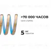 Светодиодная влагозащищенная лента Apeyron 12W/m 320LED/m COB дневной белый 5M 00-391 00-391 - 4