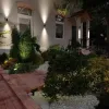 Грунтовый светильник Odeon Light Nature Stima 6647/10GL3 6647/10GL3 - 3
