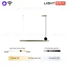 Подвесной светильник Lightera Manitoba LE111L-88GB WIFI COPPER LE111L-88GB WIFI COPPER - 6