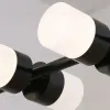 Подвесной светильник Lightera Ontario LE115L-12B LE115L-12B - 13