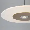 Подвесной светильник Lightera Tekapo LE127L-40G LE127L-40G - 8