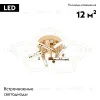 Потолочная люстра Escada Lacerta 10265/5LED 10265/5LED - 2