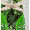 Фитолампа для растений полного спектра Эра ФИТО-40W-PFR-E27-GR Б0064531 Б0064531 - 7