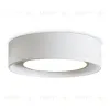 Потолочный светильник Freya Cozy FR6170CL-L52BS FR6170CL-L52BS - 4