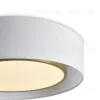 Потолочный светильник Freya Cozy FR6170CL-L52BS FR6170CL-L52BS - 3