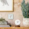 Розетка с/з с USB тип C со шторками Legrand Inspiria 673770 673770 - 4
