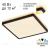 Потолочный светильник Citilux Norma CL748K301 CL748K301 - 1