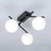 Настенно-потолочный светильник Citilux Dorsy CL223132 CL223132 - 5