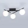 Настенно-потолочный светильник Citilux Dorsy CL223132 CL223132 - 6