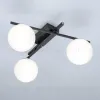 Настенно-потолочный светильник Citilux Dorsy CL223132 CL223132 - 3