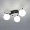 Настенно-потолочный светильник Citilux Dorsy CL223132 CL223132 - 7