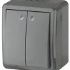 Выключатель двойной с подсветкой Эра 11-1405-03 Б0020678 Б0020678 - 1