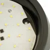 Настенно-потолочный светильник Feron AL3020 51473 51473 - 5