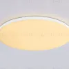 Потолочный светильник Ambrella Light Orbital Dance FZ2002 FZ2002 - 11