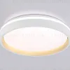 Потолочный светильник Ambrella Light Orbital Dance FZ601 FZ601 - 2