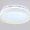 Потолочный светильник Ambrella Light Orbital Dance FZ601 FZ601 - 4