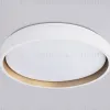 Потолочный светильник Ambrella Light Orbital Dance FZ601 FZ601 - 12