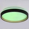 Потолочный светильник Ambrella Light Orbital Dance FZ604 FZ604 - 5