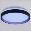 Потолочный светильник Ambrella Light Orbital Dance FZ604 FZ604 - 9