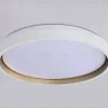 Потолочный светильник Ambrella Light Orbital Dance FZ607 FZ607 - 12