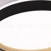 Потолочный светильник Ambrella Light Orbital Dance FZ610 FZ610 - 13