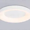 Потолочный светильник Ambrella Light Orbital Design FZ1401 FZ1401 - 3