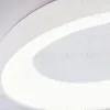 Потолочный светильник Ambrella Light Orbital Design FZ1401 FZ1401 - 6