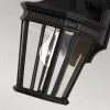 Уличный настенный светильник Feiss Cotswold lane FE-COTSLN2-S-BK FE-COTSLN2-S-BK - 3