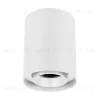 Накладной светильник Arlight SP-FOCUS-R132-24W Day4000 054856 054856 - 1