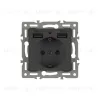 Механизм розетки с USB зарядкой Arlight SCT-MUAA-PL-BK (250V, 16A) 043734 043734 - 1