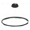 Подвесной светильник ST Luce Parilla SL6238.443.01 SL6238.443.01 - 3