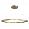 Подвесной светильник ST Luce Parilla SL6238.343.01 SL6238.343.01 - 2