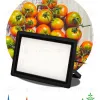 Фитопрожектор Эра FITO-150W-Ra90-LED Б0059880 Б0059880 - 7