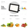 Фитопрожектор Эра FITO-150W-Ra90-LED Б0059880 Б0059880 - 6