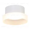 Потолочный светильник Feron Opal HL460 51682 51682 - 2
