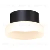 Потолочный светильник Feron Opal HL460 51683 51683 - 2