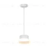 Подвесной светильник Feron Opal HL4608 51686 51686 - 2