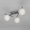 Потолочная люстра Citilux Dorsy CL223131 CL223131 - 5