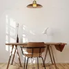 Подвесной светильник Delight Collection 8665P/L gold/amber 8665P/L gold/amber - 4